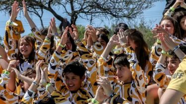 El impacto del DNU del presidente Milei en el funcionamiento de agencias de turismo y el turismo estudiantil.