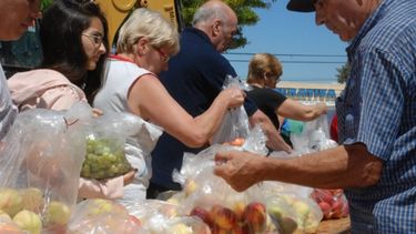 Llega a Caucete el Programa Frutas y Verduras para todos