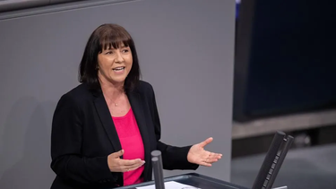 Joana Cotar pidió más Milei