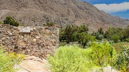 El lugar donde nació la luz resiste erguido