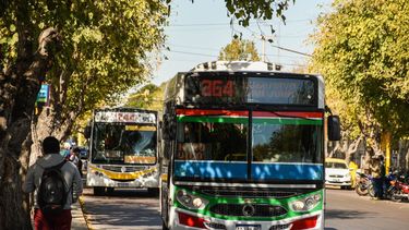 Con horarios especiales, así funcionan los comercios, colectivos y estaciones de servicio en Navidad