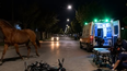 Tras el accidente, mientras el caballo aún circulaba por la zona, la ambulancia trasladó al joven herido. Foto: El Eje de Albardón Tras el accidente, mientras el caballo aún circulaba por la zona, la ambulancia trasladó al joven herido. Foto: El Eje de Albardón