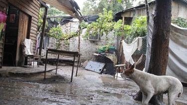 ANSES relevará los damnificados en Capital