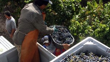 Las cooperativas sanjuaninas recibieron $9 millones para tecnificarse y crecer