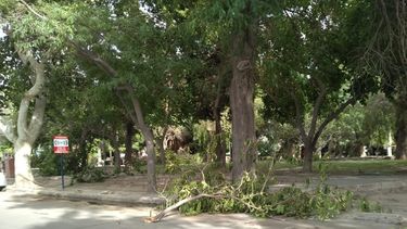 Cuáles fueron los departamentos más afectados por el ventarrón