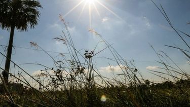Previa de primavera: con algunas nubes el clima será agradable este viernes