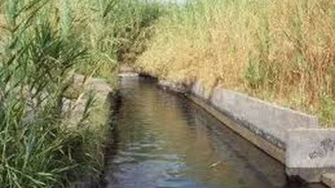 Los regantes manifestarán por problemas hídricos