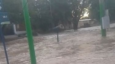 Video: impactante crecida en Pocito