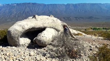 Viaje a lo profundo del valle zondino donde florecen el vino y el arte