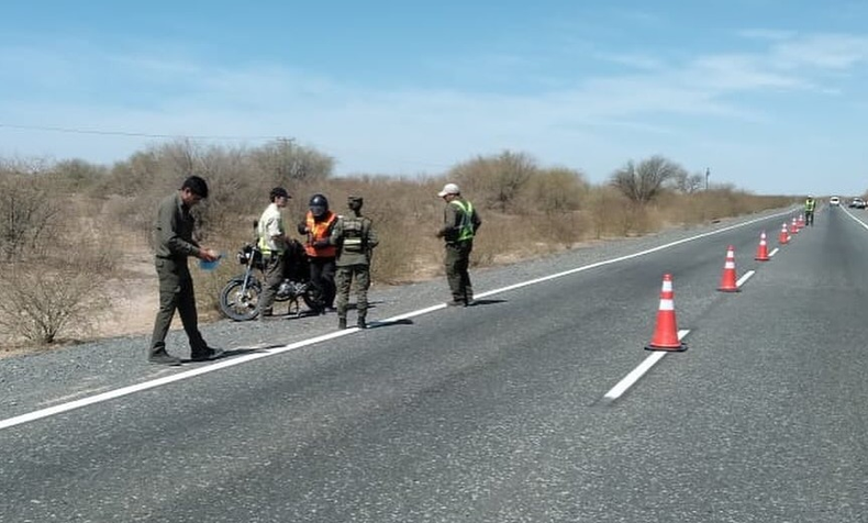 Continúan las infracciones por la caza y captura de especies de la fauna autóctona detectadas por Ambiente.