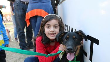 ¿Estuviste en el Dog Day?, buscate