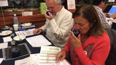 El aceite de oliva sanjuanino brilló en el mundo y se trajo muchos premios