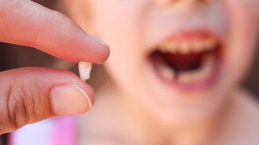 La tierna carta de una docente sanjuanina al Ratón Pérez que emocionó a las redes