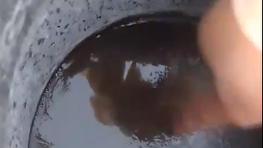 Video: en un balde, el agua quedó congelada por la ola polar en San Juan