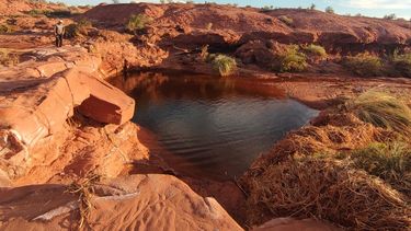 Lagunas y exuberante vegetación: en fotos, Río Salado renovado, el nuevo atractivo de Ischigualasto