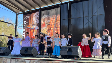 Bailarines de diferentes puntos de San Juan dijeron presente en este encuentro celebrado en San Martín.