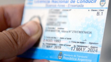 Sturzenegger dio detalles del nuevo trámite para renovar las licencias de conducir