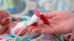 En San Juan nacen unos 500 prematuros al año: cómo los cuidan