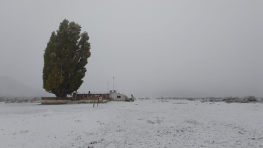 En pleno abril, llegó la nieve a San Juan y dejó hermosas postales