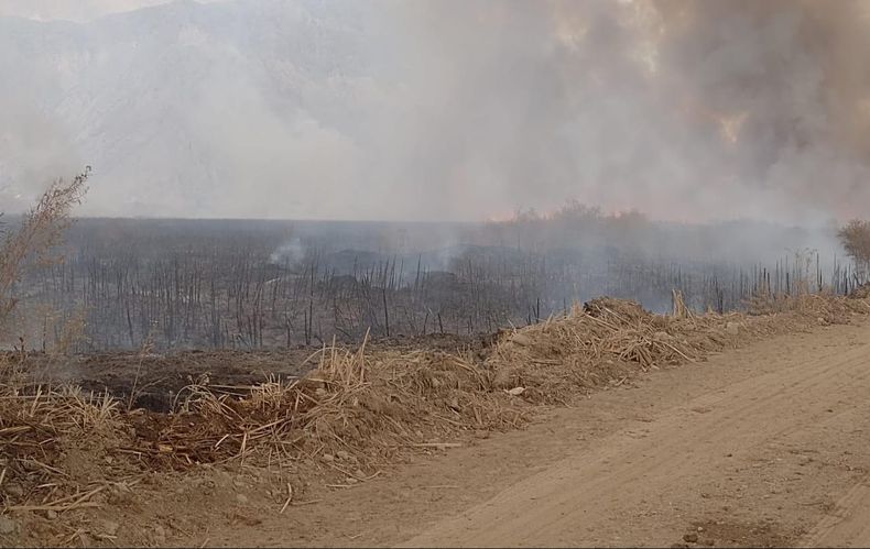 El incendio en el Parque Sarmiento.
