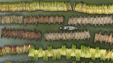 La interesante muestra de fotoperiodismo internacional que se puede recorrer en el Museo Franklin Rawson.