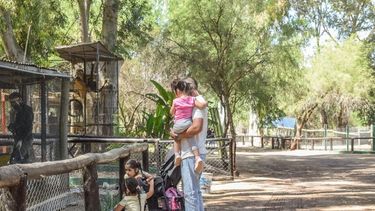 Un buen plan para la familia en finde largo: visitar el Parque Faunístico