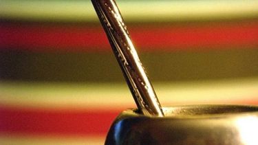 Las 9 mejores recetas para saborizar el mate