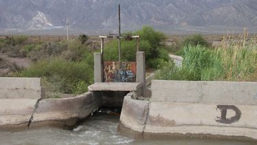 Sequía en San Juan: regantes temen por pérdidas en la cosecha
