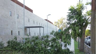 Lo que el viento nos dejó