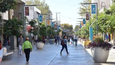 Expresiones y palabras 100% `sanjua´ que reúne el Diccionario Cuyano