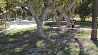 Tareas de desinfección, desinsectación y desratización en el Parque de Mayo