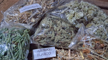 La cordillera iglesiana alberga yuyos con variopintas propiedades medicinales.