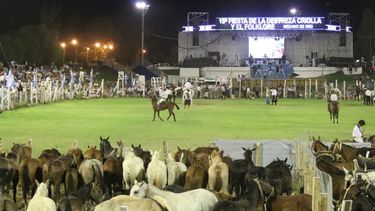 La Fiesta de las Destrezas Criollas y el Folklore es Fiesta Nacional