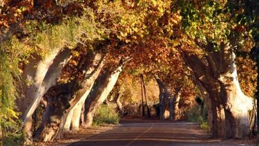Así se despide el verano