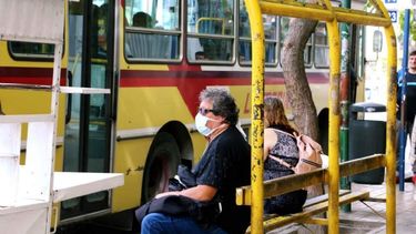 Todo lo que tenés que saber sobre el servicio de colectivos en San Juan