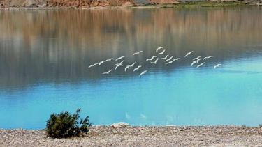 Algún lugar de San Juan: ¿Dónde es?