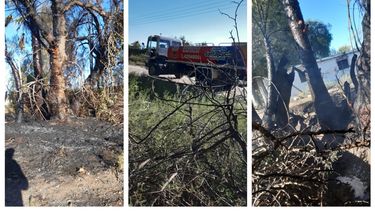 Un incendio terminó con una antiquísima higuera de Santa Lucía