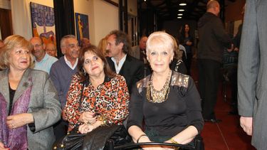 Presentaron Rimas y Sonetos de Guillermo Videla Moya