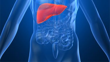 Actividades en San Juan por el día mundial de la hepatitis