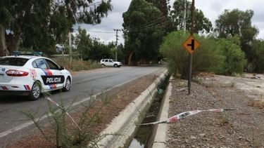 ¿Legítima defensa o gatillo fácil?: qué opinan los sanjuaninos sobre el policía que mató al ladrón