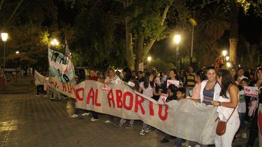 Distintas ONG´s concretaron la Marcha de Antorchas