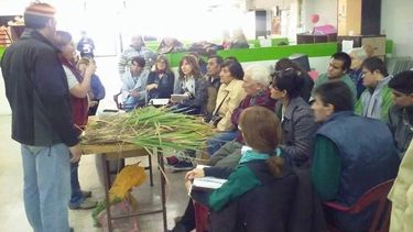 INTA enseña a cultivar aromáticas de temporada