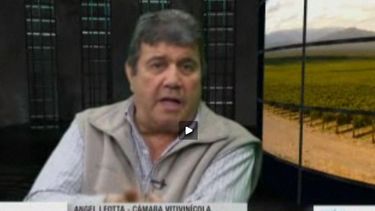 La Cámara Vitivinícola se sumó al pedido de restringir el agua a la minería