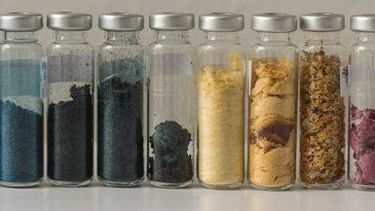 Lo nuevo: Algas para colorear camisetas