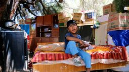 Viven bajo un árbol después del terremoto en Sarmiento