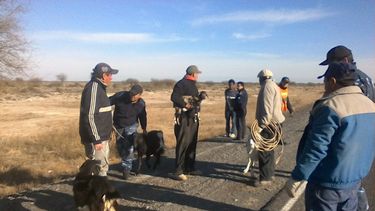 Incautaron 18 animales que estaban sueltos en la ruta