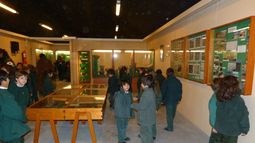 Nuevo horario de atención del Museo Arqueológico Gambier