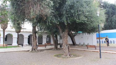 Arte y vino junto a la cama donde durmió San Martín