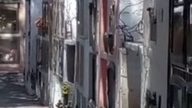 Un enjambre de abejas causa terror en un cementerio sanjuanino