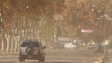 Atención vecinos de Capital, operativo de limpieza